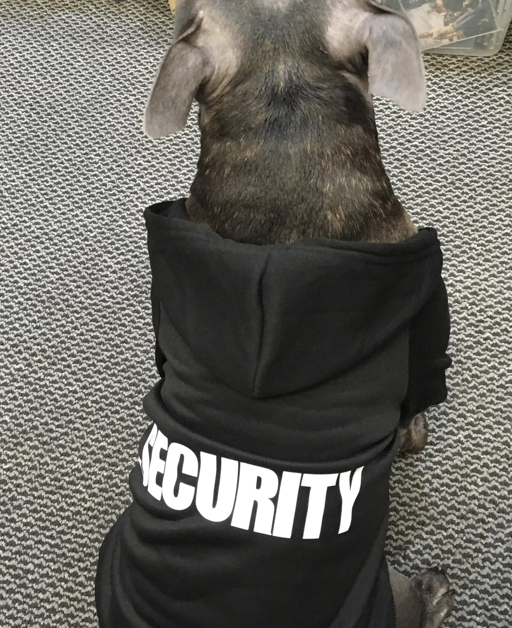 Alan Security 2